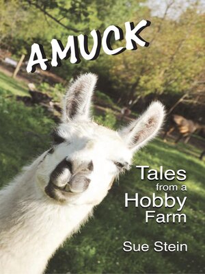 cover image of Amuck